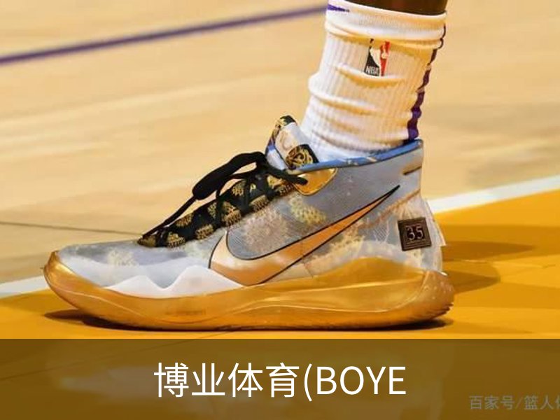 博业体育(BOYE介绍